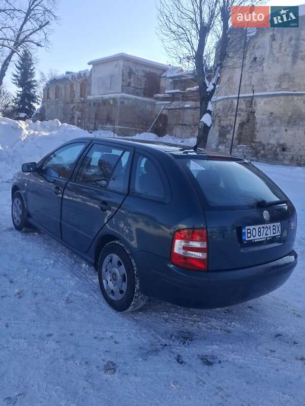 Универсал Skoda Fabia 2007 в Бережанах