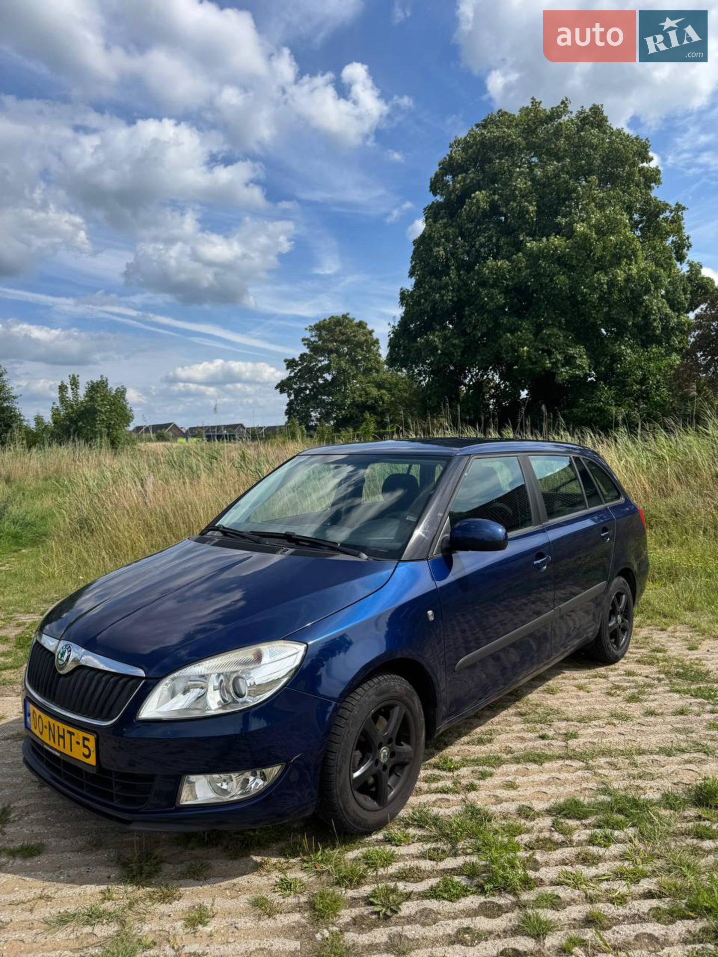 2010 Skoda Fabia - фото 1