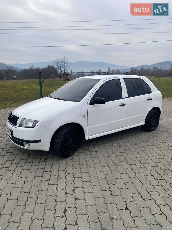 Хэтчбек Skoda Fabia 2004 в Поляне