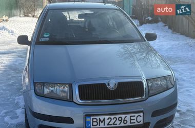 Хетчбек Skoda Fabia 2005 в Тростянці