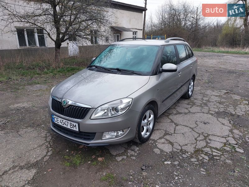 Універсал Skoda Fabia 2010 в Кіцмані