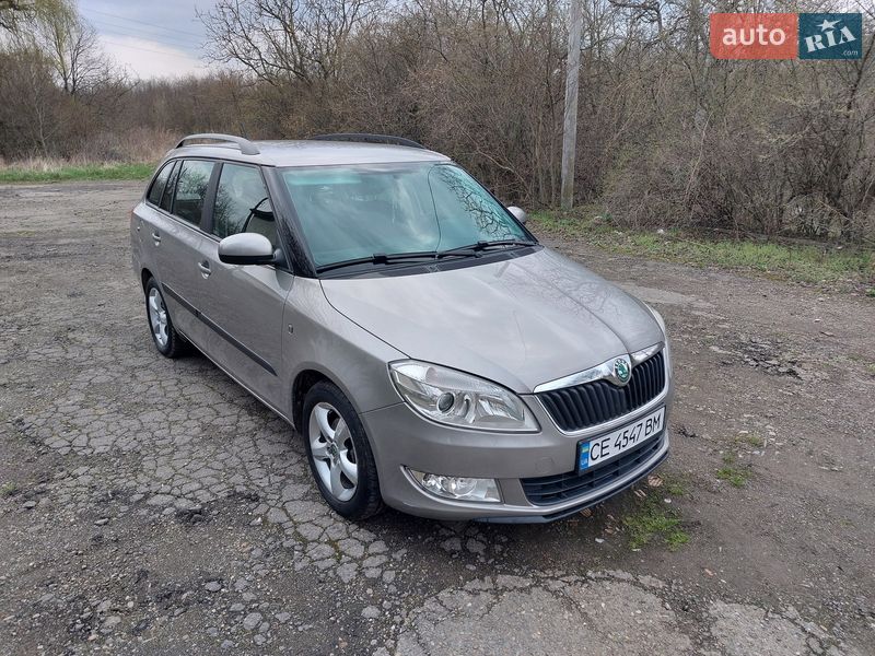 Універсал Skoda Fabia 2010 в Кіцмані