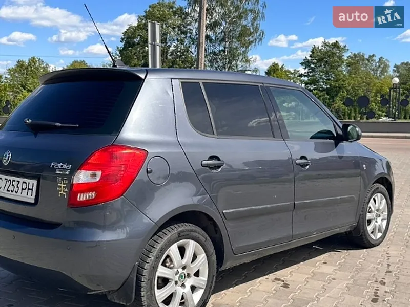Skoda Fabia 2010 VIN TMBES25J9B3072698 фото оголошення 17 з 70