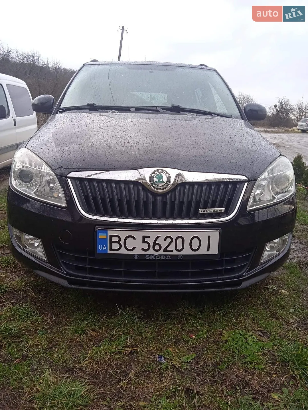 2010 Skoda Fabia - фото 1