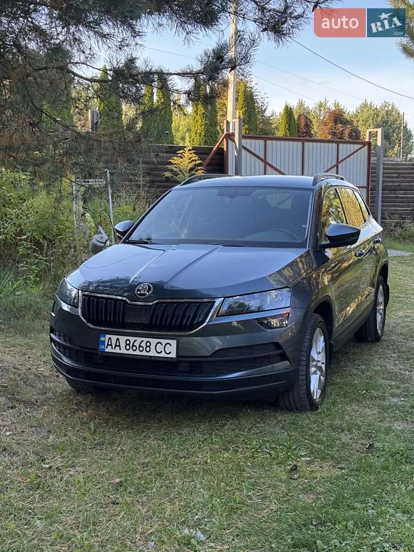 Внедорожник / Кроссовер Skoda Karoq 2019 в 