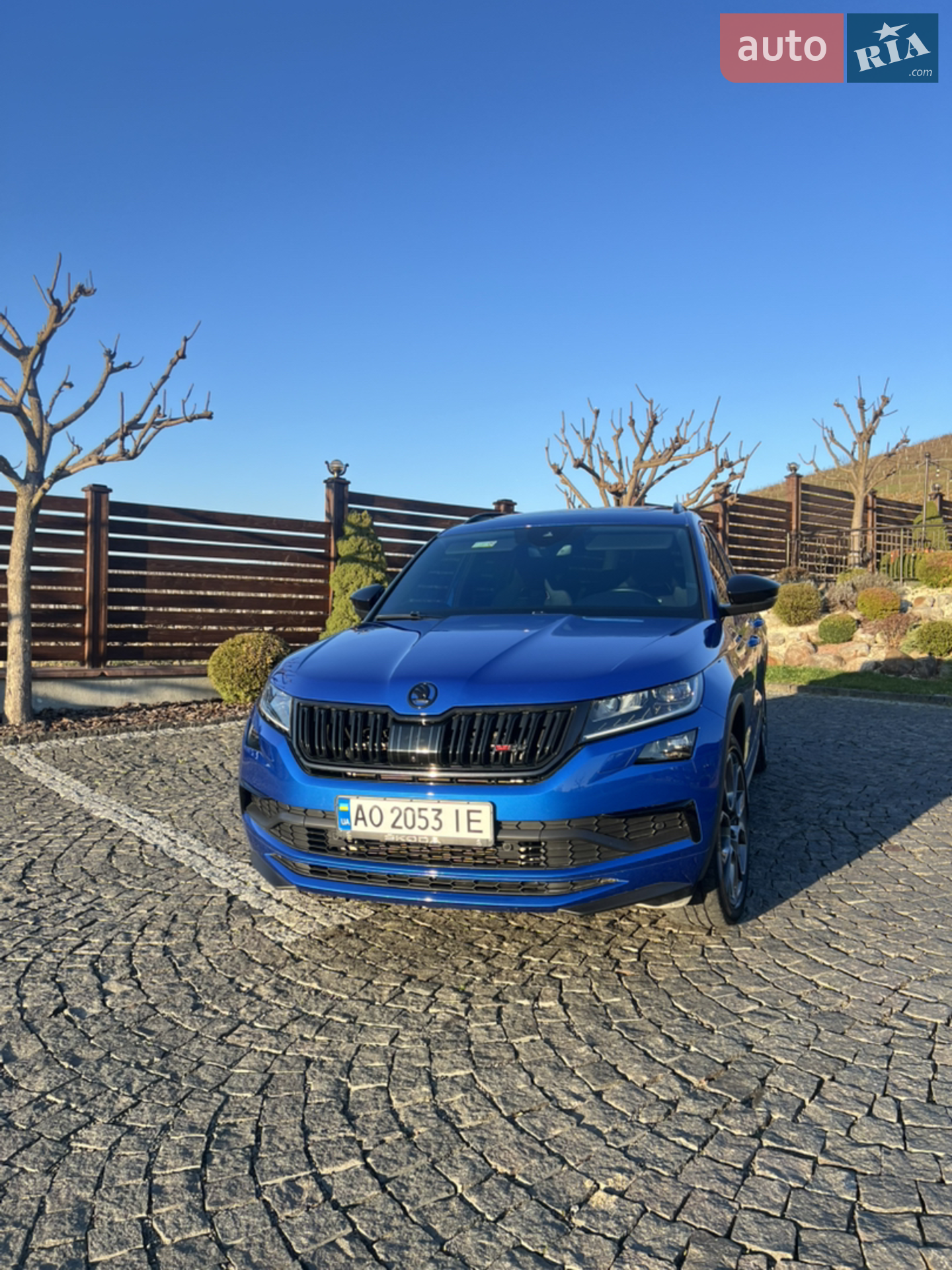 2019 Skoda Kodiaq - фото 1