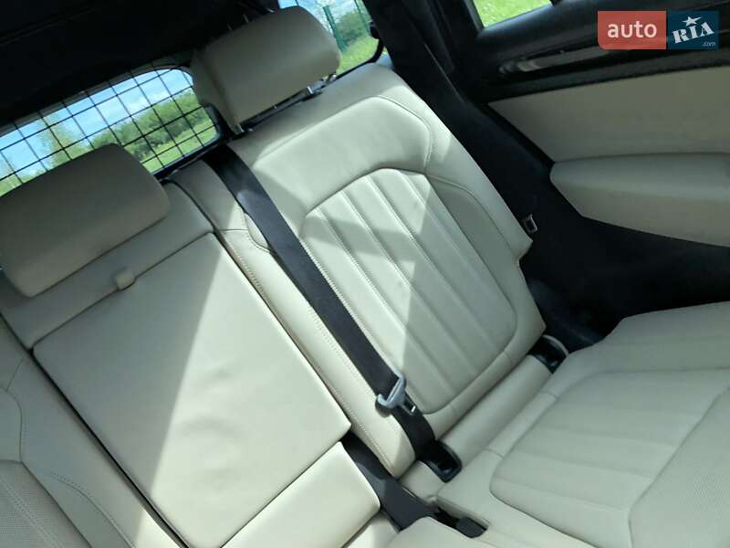 Внедорожник / Кроссовер Skoda Kodiaq 2020 в Звягеле