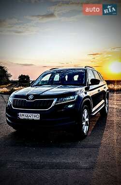 Внедорожник / Кроссовер Skoda Kodiaq 2019 в Николаеве