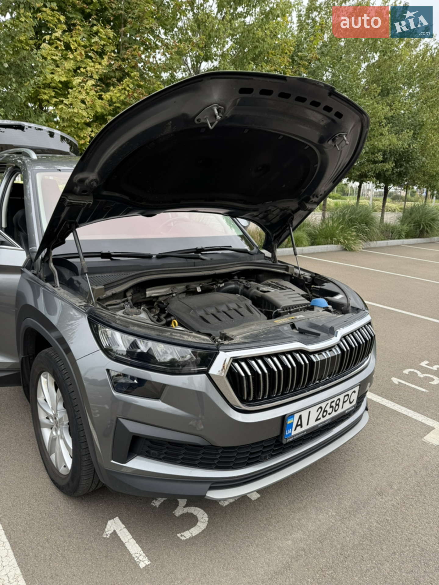2023 Skoda Kodiaq - мініатюра 28