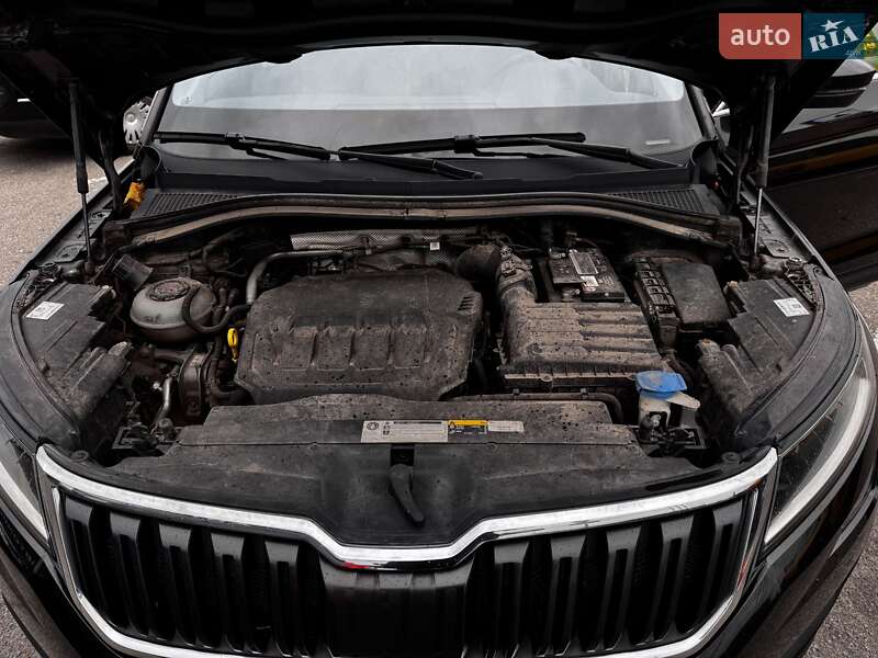 Внедорожник / Кроссовер Skoda Kodiaq 2019 в Броварах