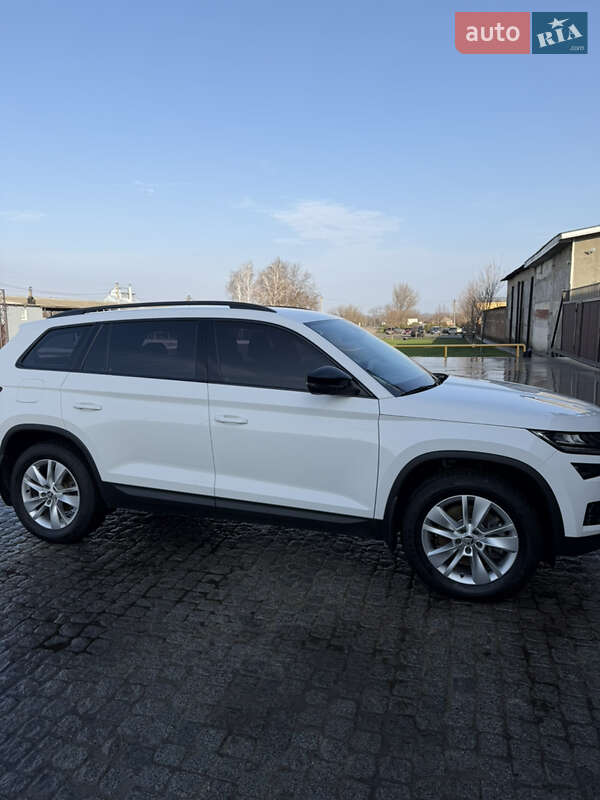 Внедорожник / Кроссовер Skoda Kodiaq 2019 в Александрие