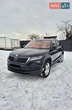 Позашляховик / Кросовер Skoda Kodiaq 2019 в Луцьку