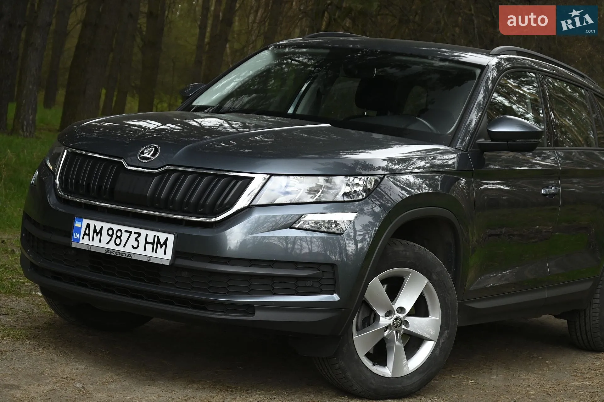 2019 Skoda Kodiaq - мініатюра 10