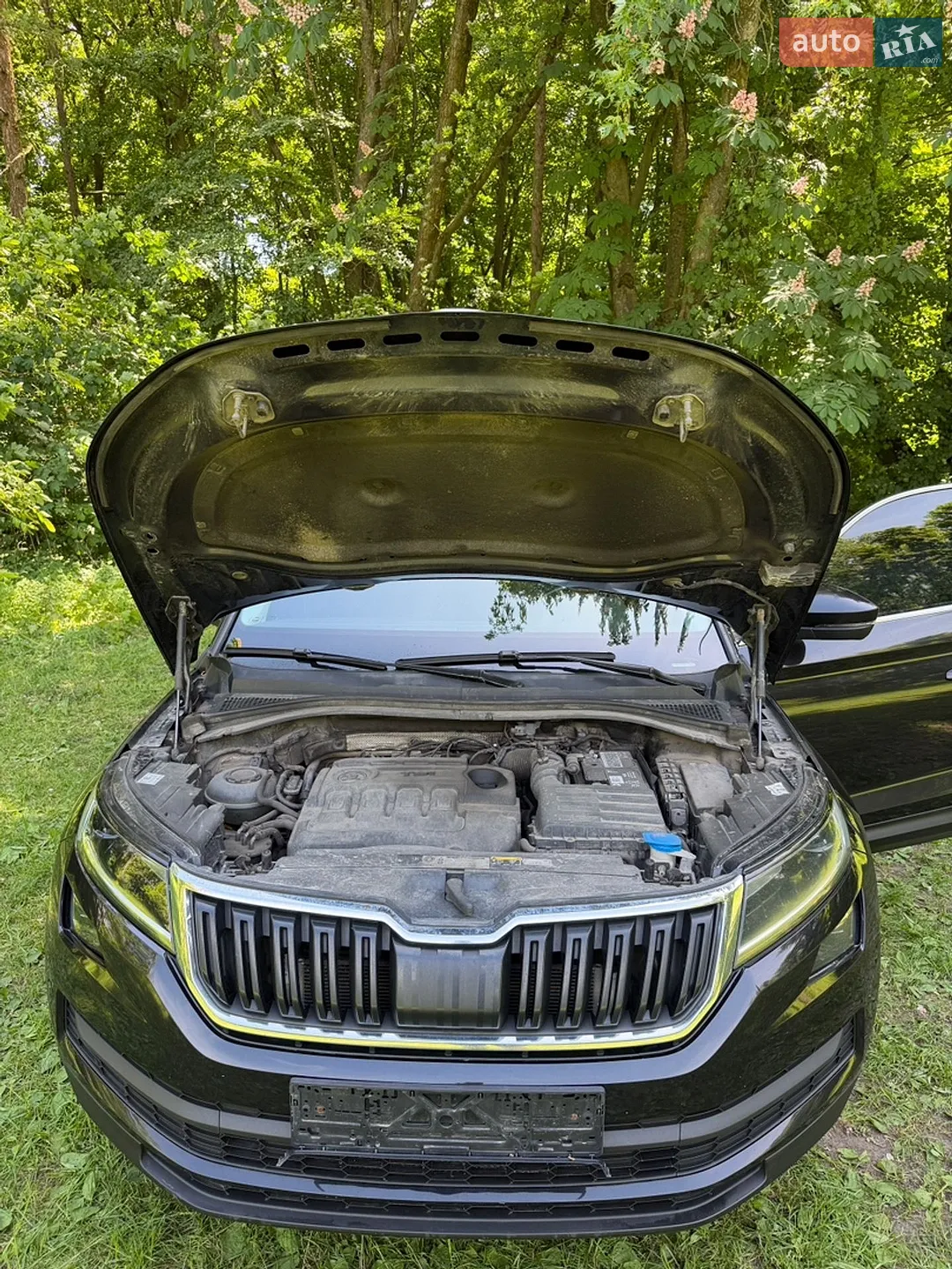 2017 Skoda Kodiaq - мініатюра 27