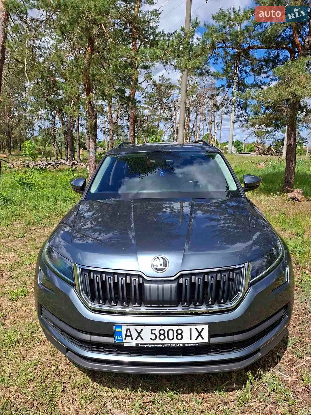 2019 Skoda Kodiaq - мініатюра 4