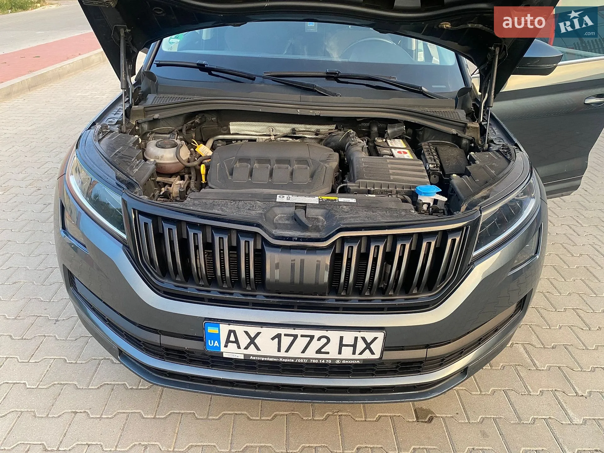 2019 Skoda Kodiaq - мініатюра 64
