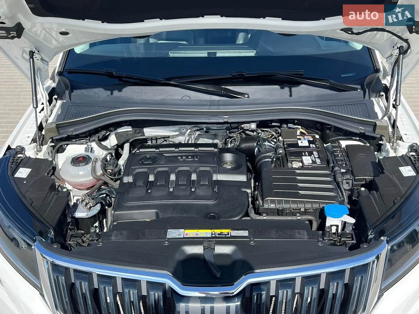 2019 Skoda Kodiaq - мініатюра 11