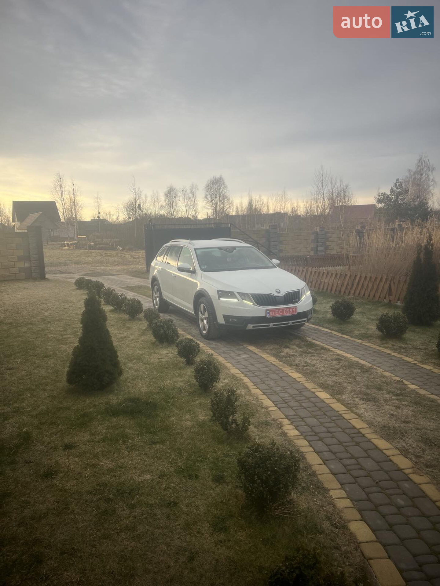 2019 Skoda Octavia - мініатюра 5