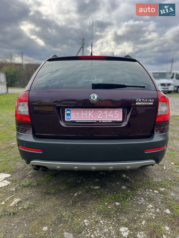 Универсал Skoda Octavia Scout 2009 в Рожище