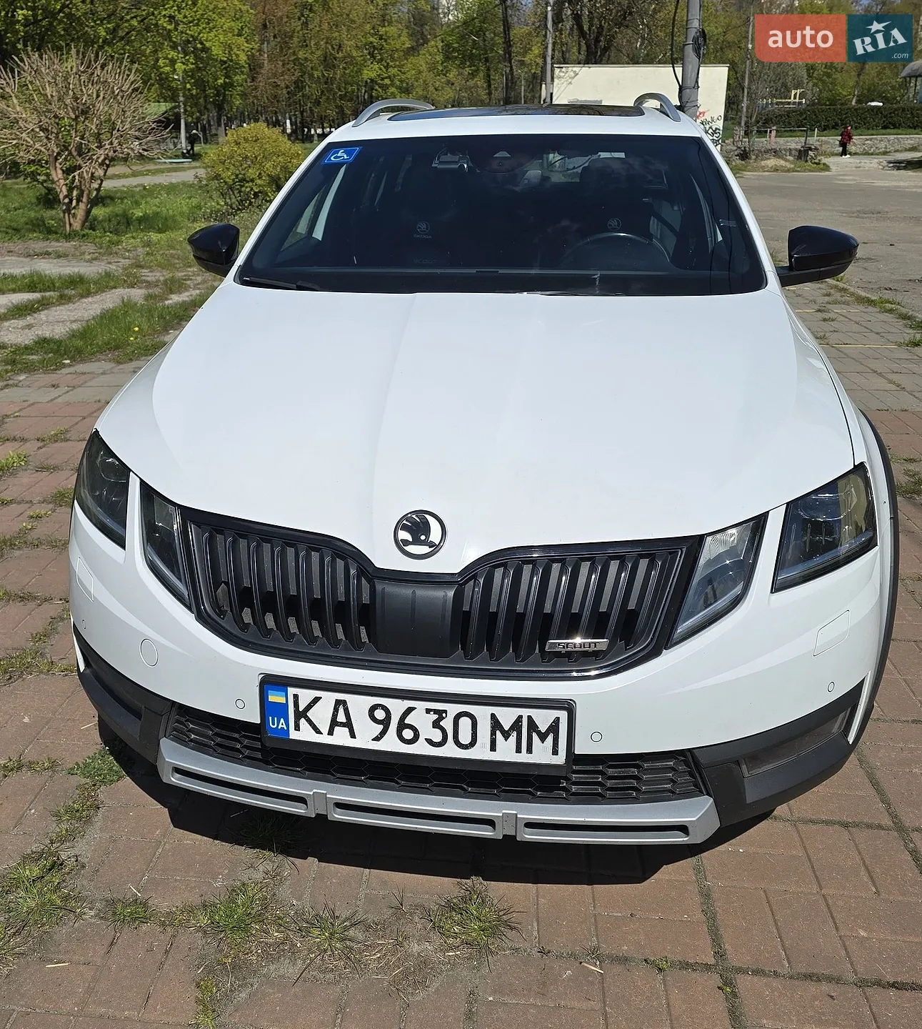 2019 Skoda Octavia - мініатюра 4