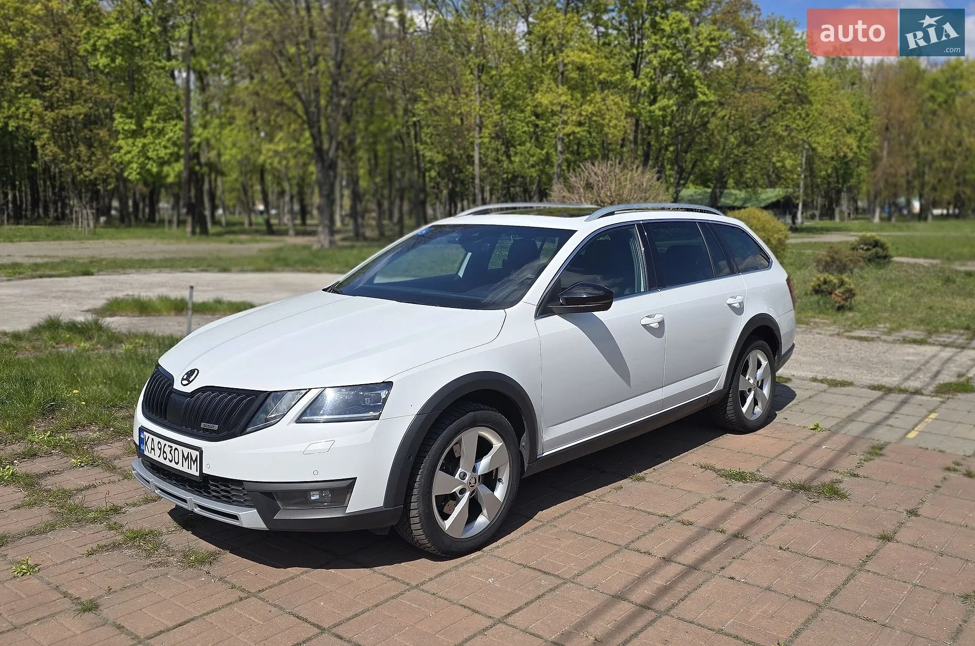 2019 Skoda Octavia - фото 1