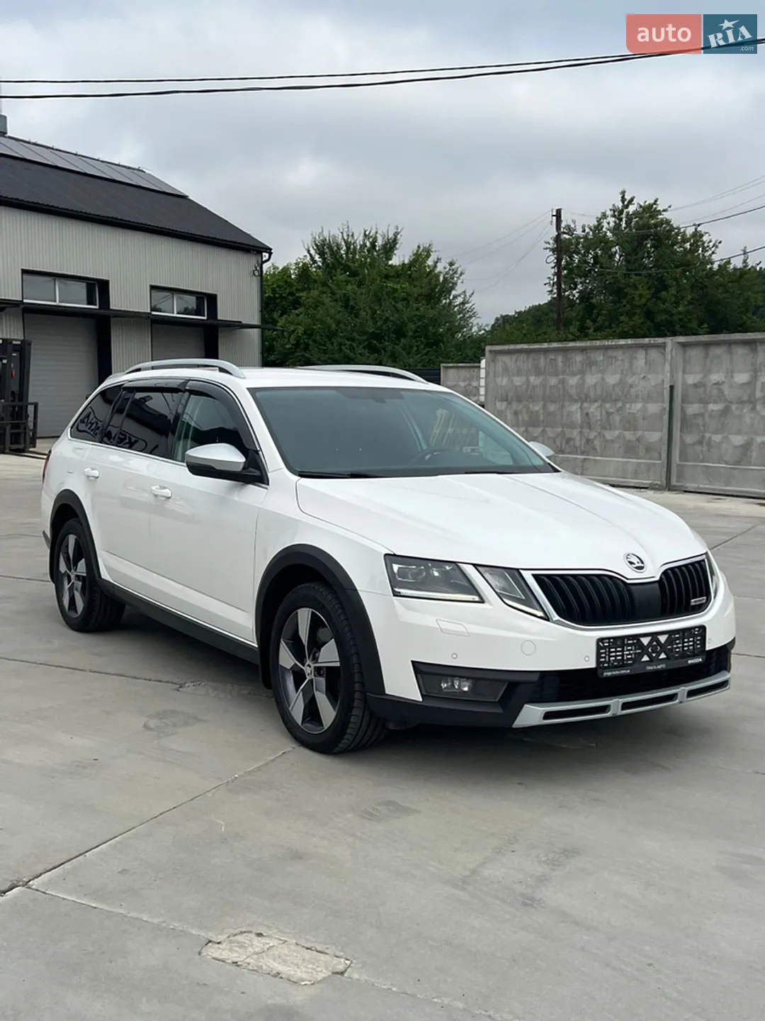 2019 Skoda Octavia - мініатюра 9