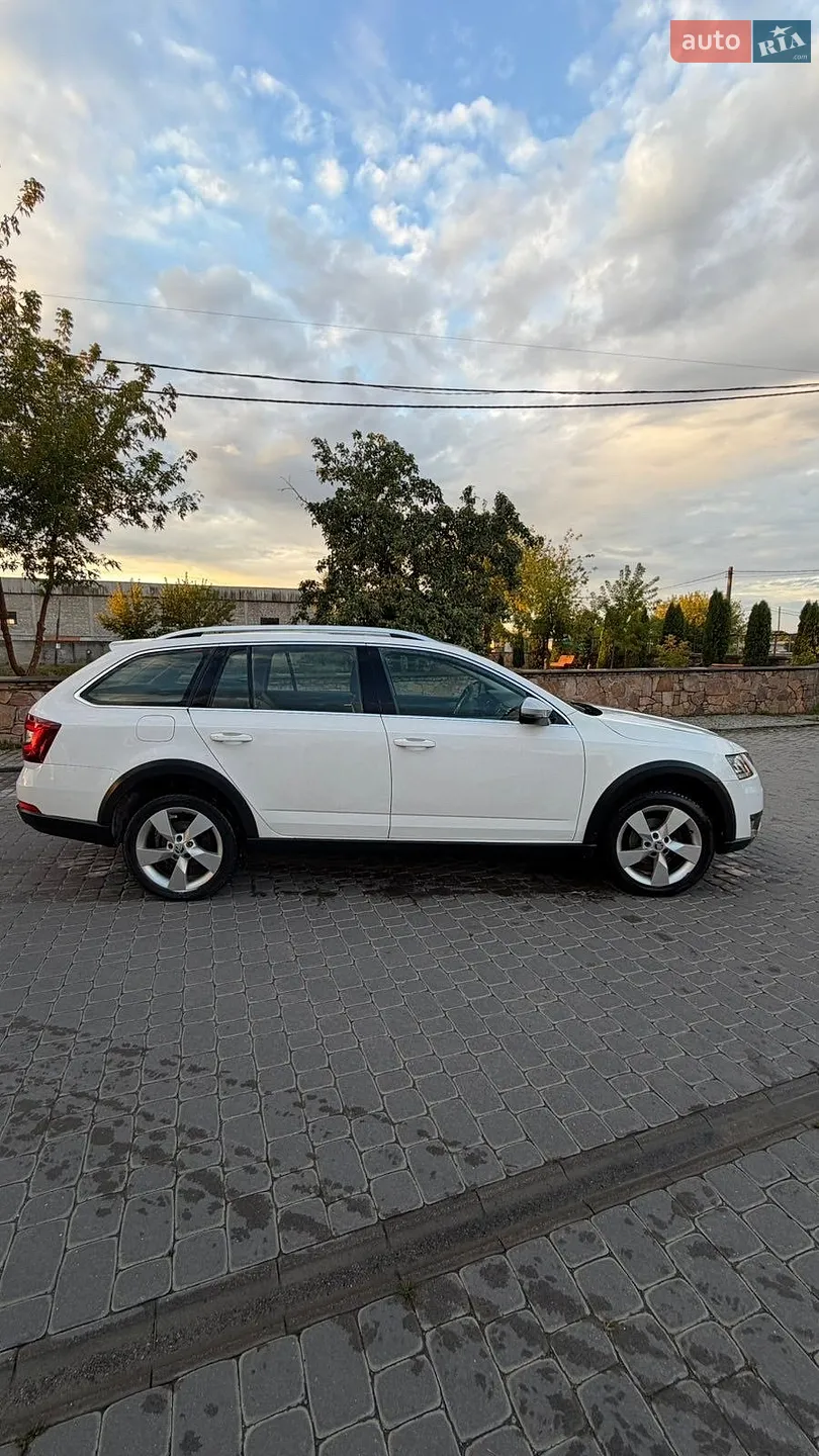 2017 Skoda Octavia - мініатюра 6