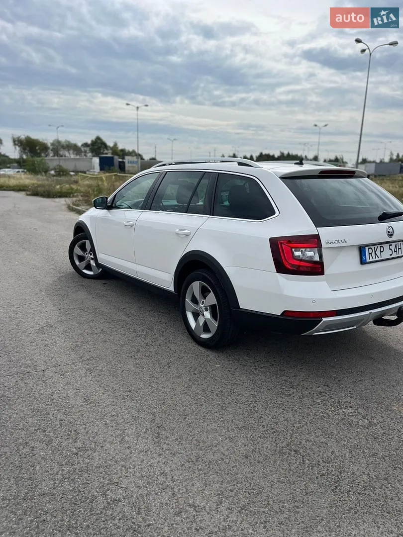 2019 Skoda Octavia - мініатюра 4
