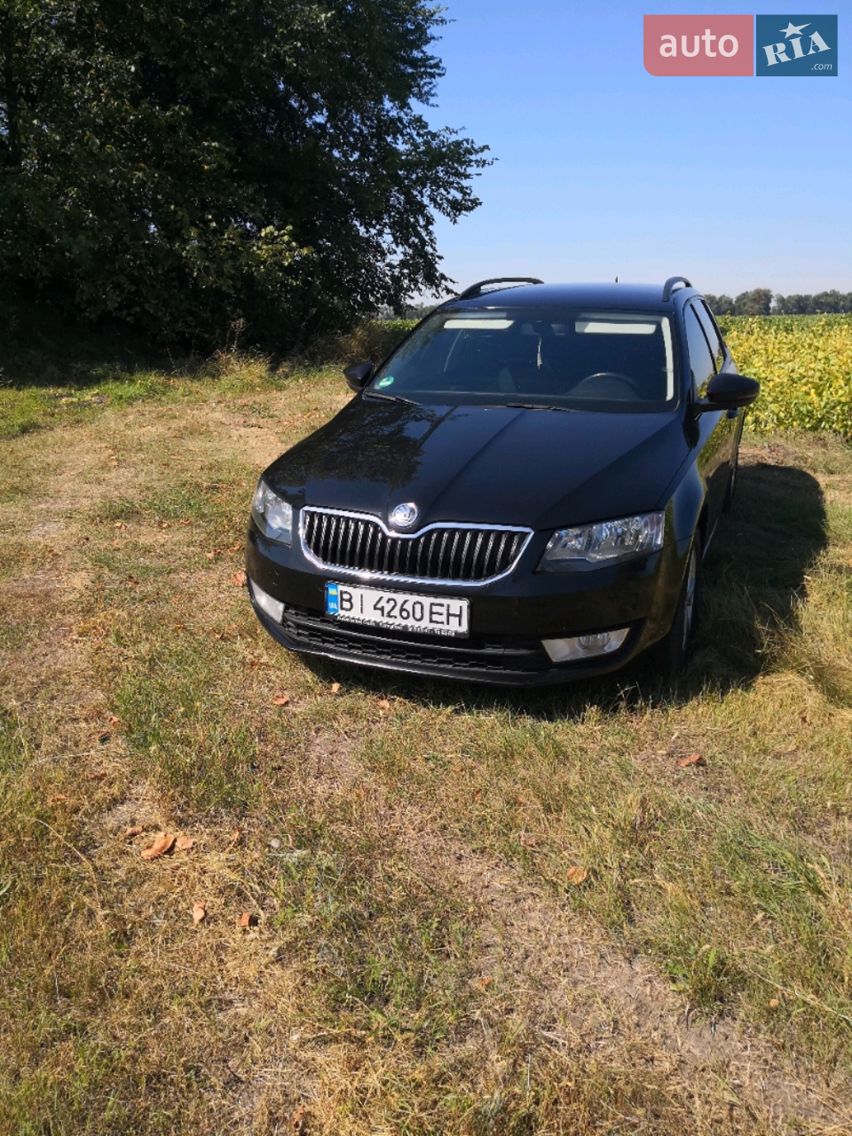 2014 Skoda Octavia - мініатюра 16