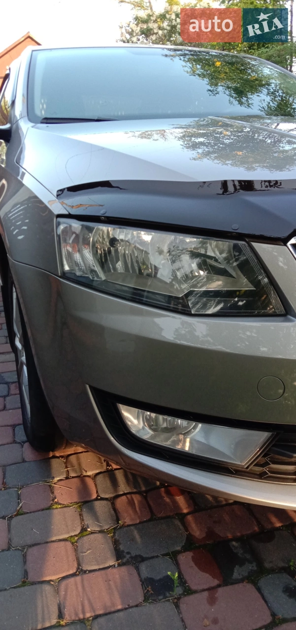 2013 Skoda Octavia - мініатюра 3