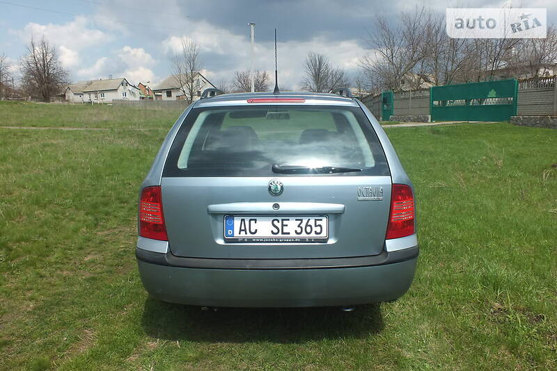 Универсал Skoda Octavia 2001 в Шишаки фото 4 Универсал Skoda Octavia 2001 в Шишаки