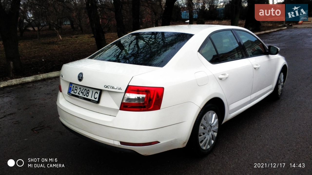 2017 Skoda Octavia - мініатюра 13