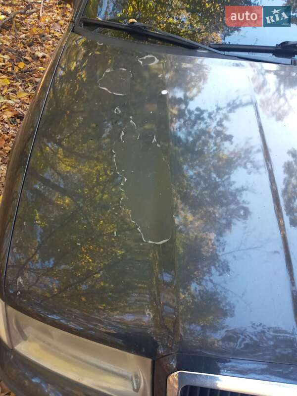 Універсал Skoda Octavia 2009 в Вінниці