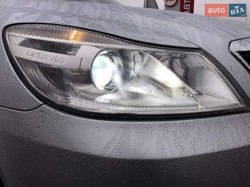 Універсал Skoda Octavia 2010 в Хусті