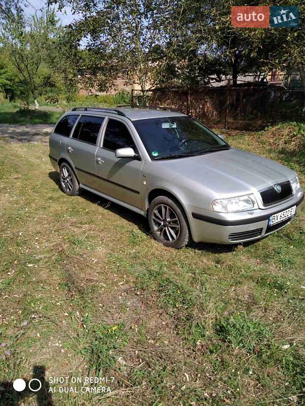 Универсал Skoda Octavia 2002 в Изяславе