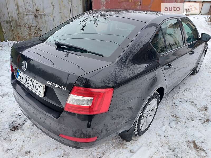 Лифтбек Skoda Octavia 2016 в Василькове фото 7 Лифтбек Skoda Octavia 2016 в Василькове