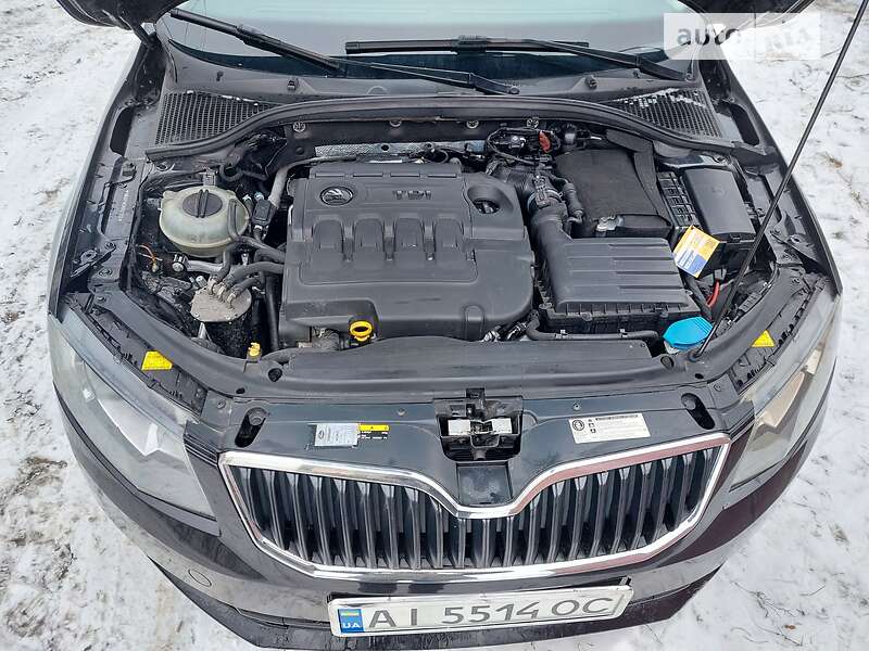 Лифтбек Skoda Octavia 2016 в Василькове фото 49 Лифтбек Skoda Octavia 2016 в Василькове