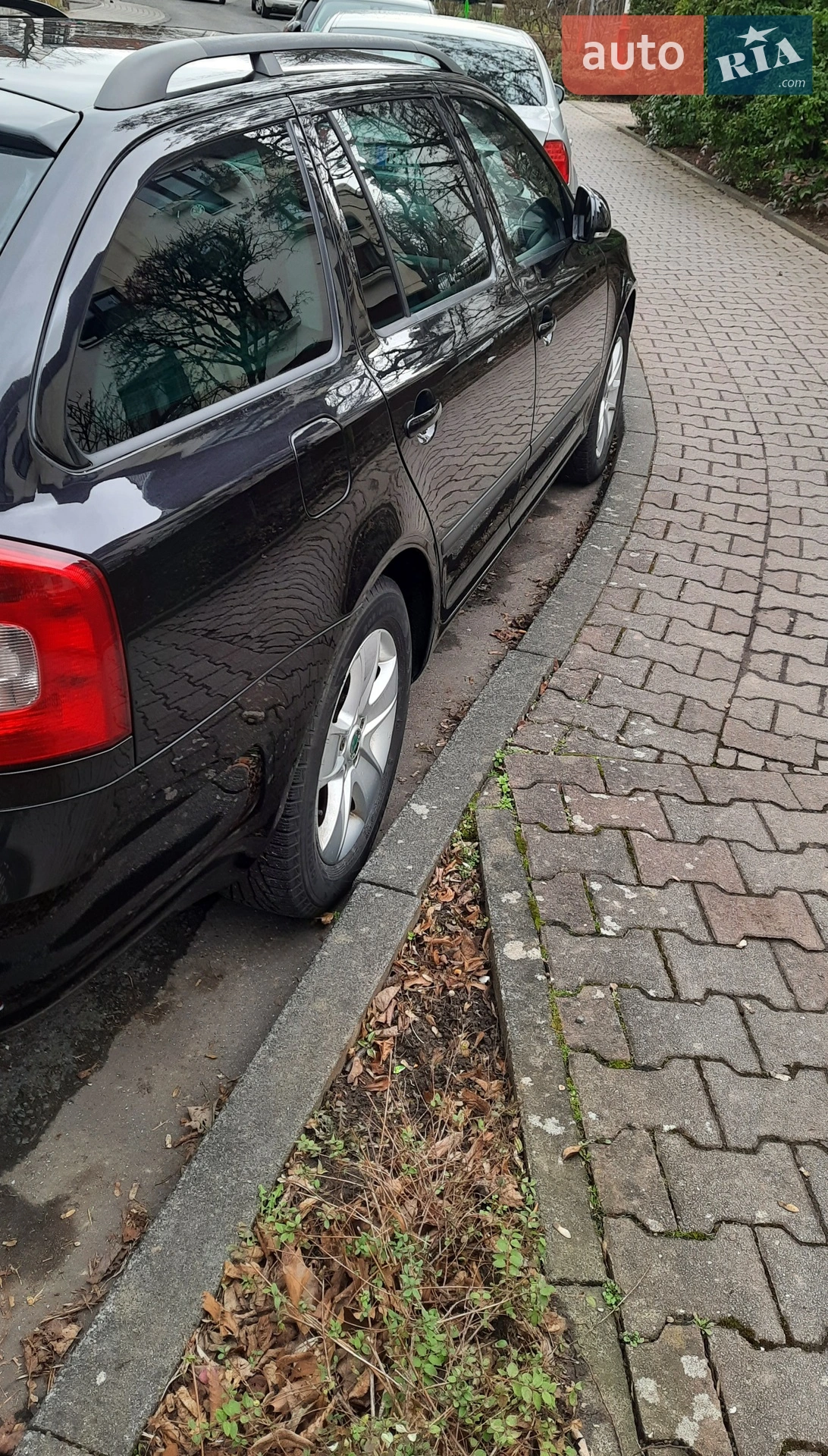 2013 Skoda Octavia - мініатюра 3