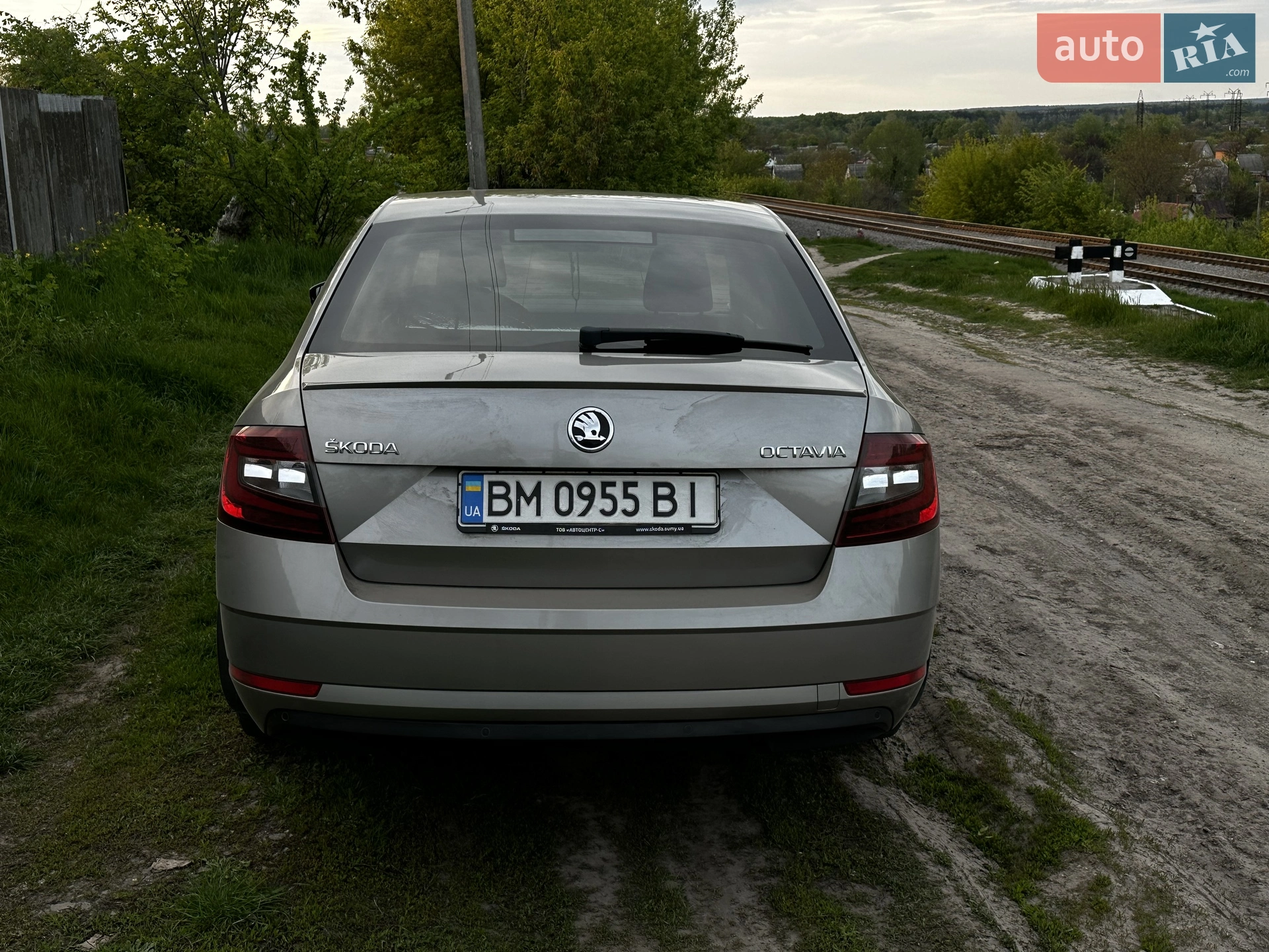 2017 Skoda Octavia - мініатюра 5