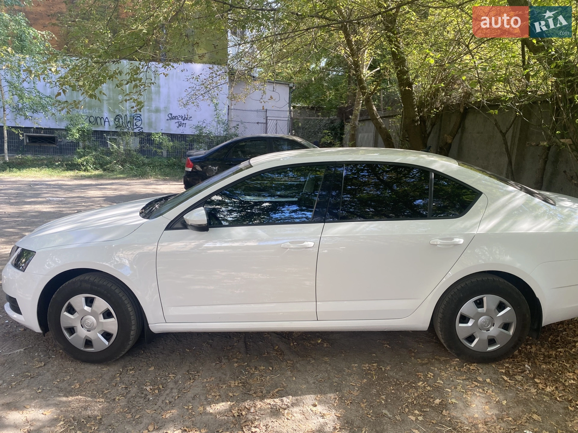 2019 Skoda Octavia - мініатюра 2