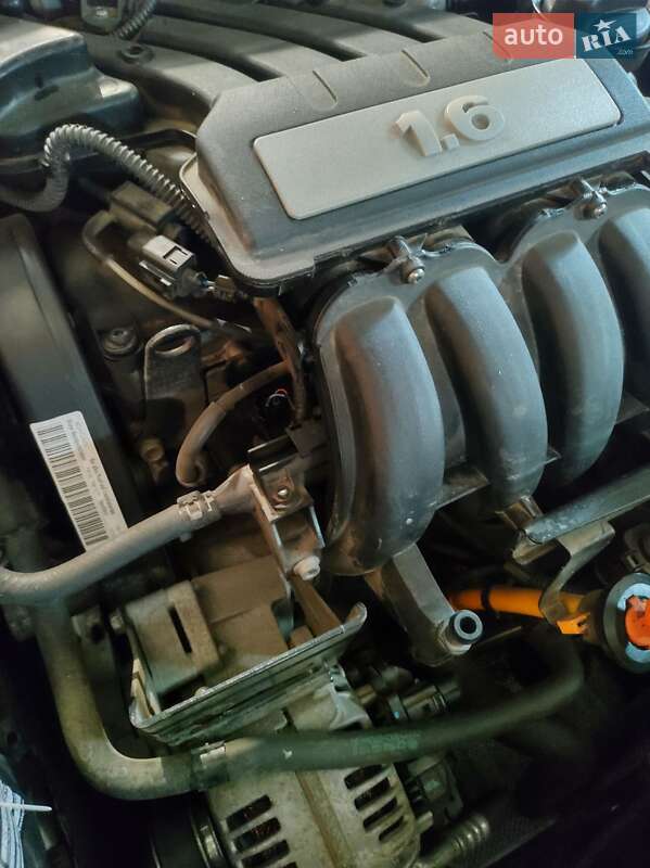 Універсал Skoda Octavia 2009 в Тростянці