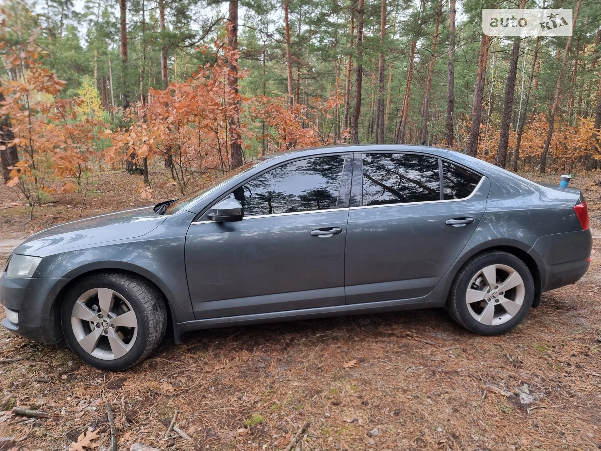 2015 Skoda Octavia - мініатюра 3