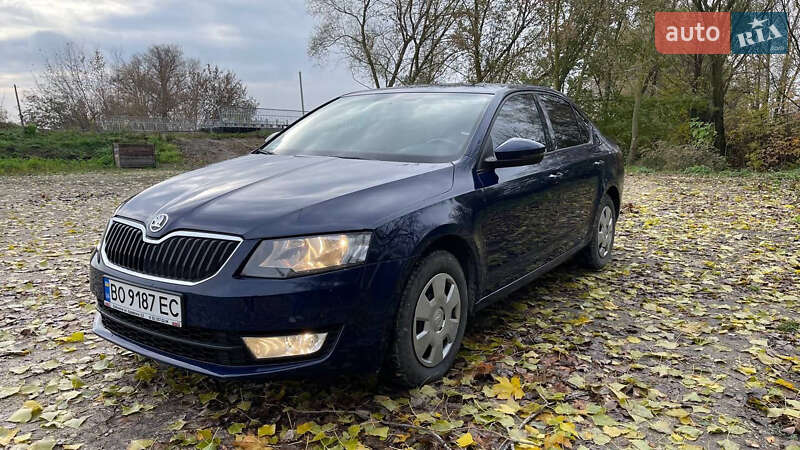 Лифтбек Skoda Octavia 2013 в Тернополе фото 12 Лифтбек Skoda Octavia 2013 в Тернополе