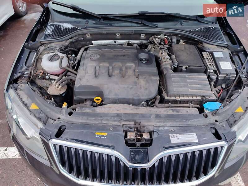 Універсал Skoda Octavia 2017 в Житомирі фото 20 Універсал Skoda Octavia 2017 в Житомирі