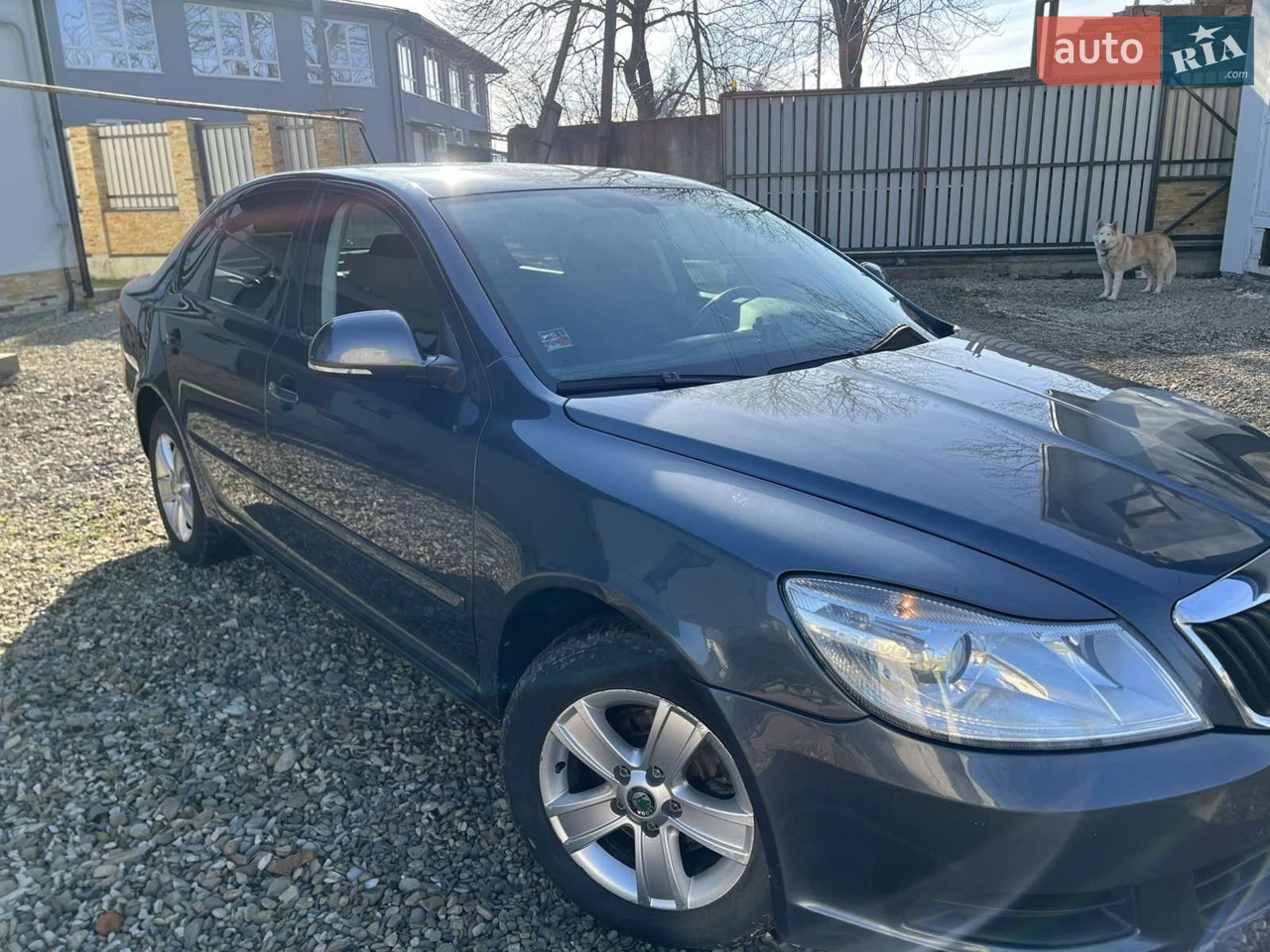 2010 Skoda Octavia - мініатюра 31