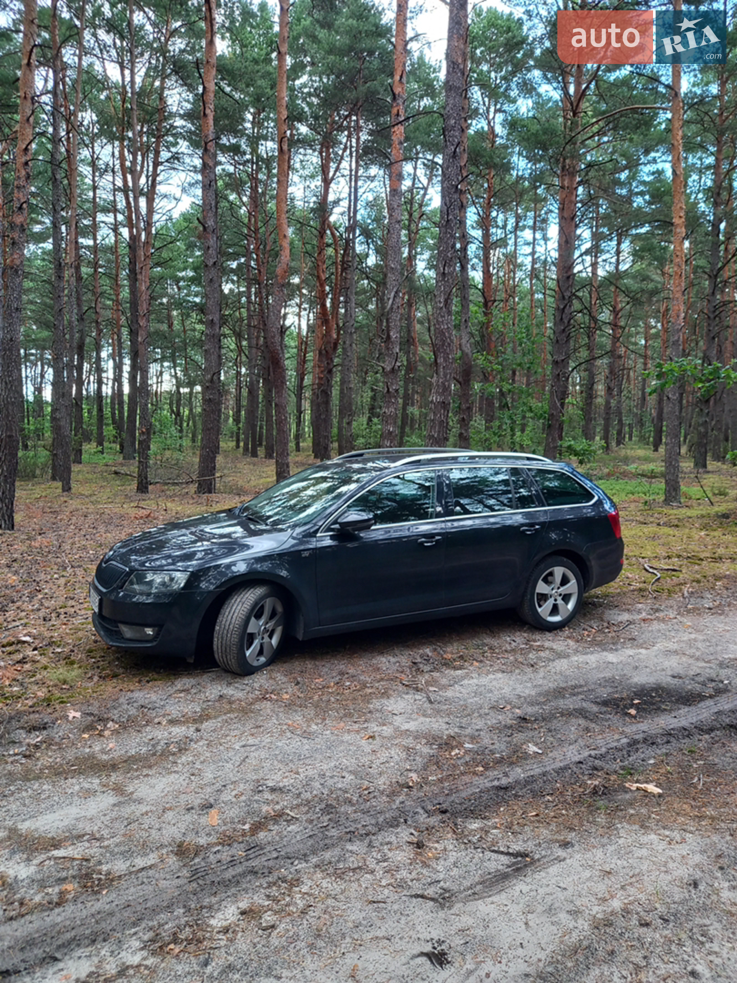 2016 Skoda Octavia - мініатюра 2