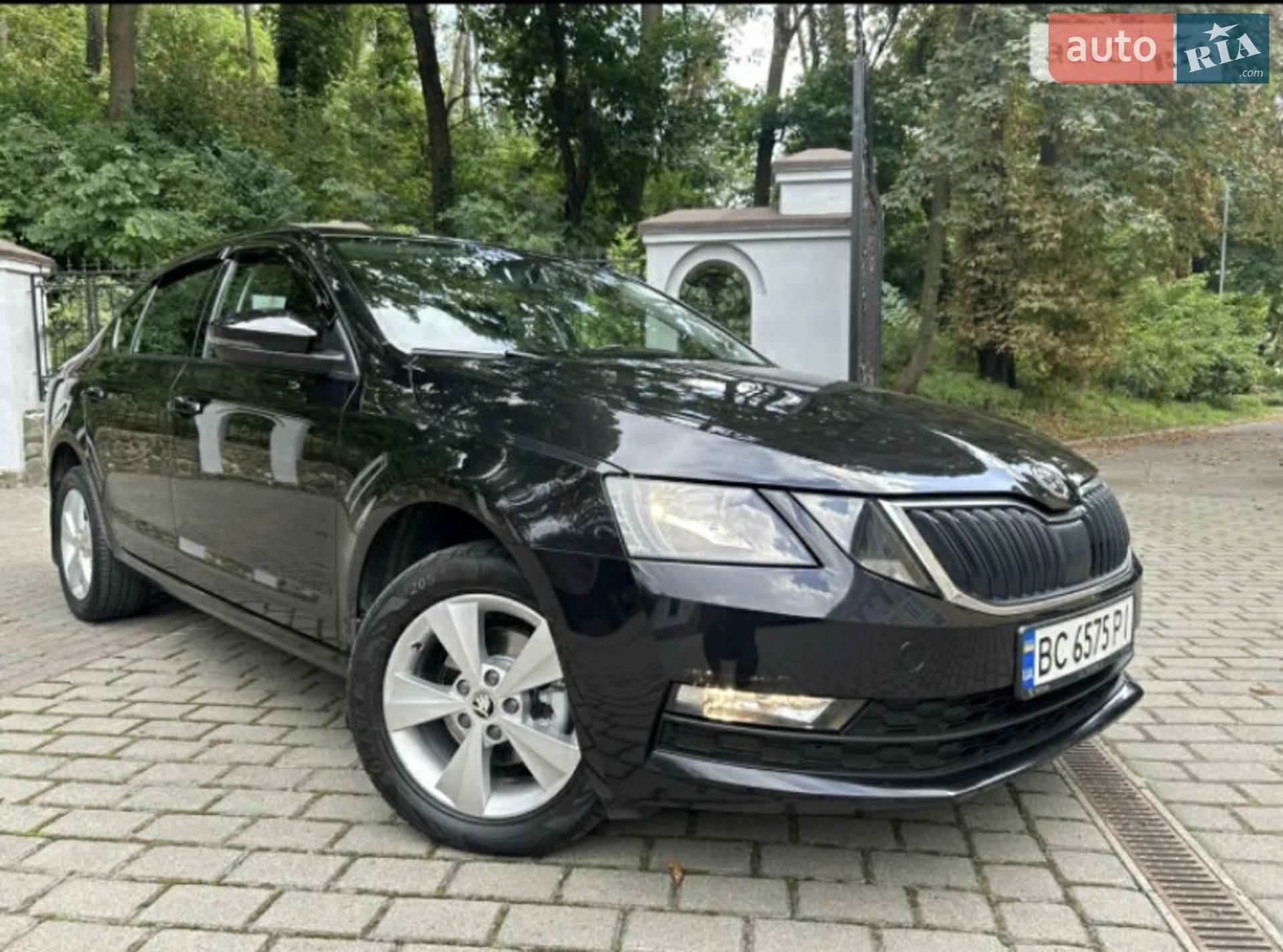 2019 Skoda Octavia - мініатюра 4