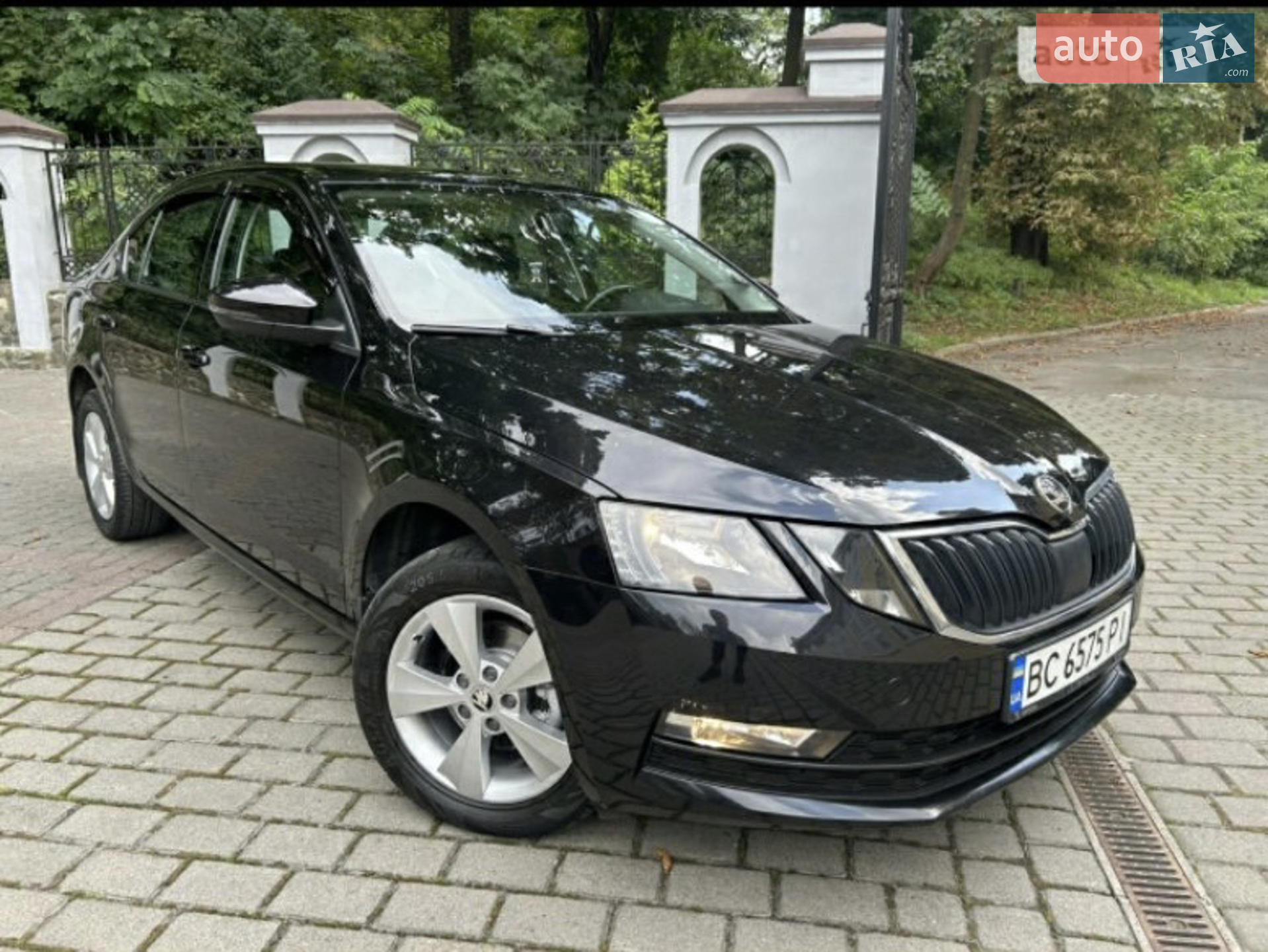 2019 Skoda Octavia - мініатюра 3