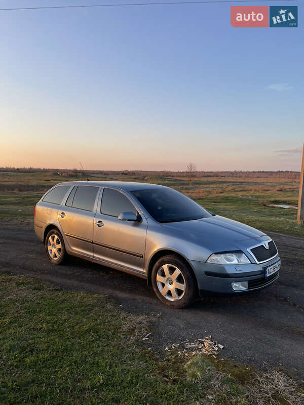 Універсал Skoda Octavia 2008 в Маневичах