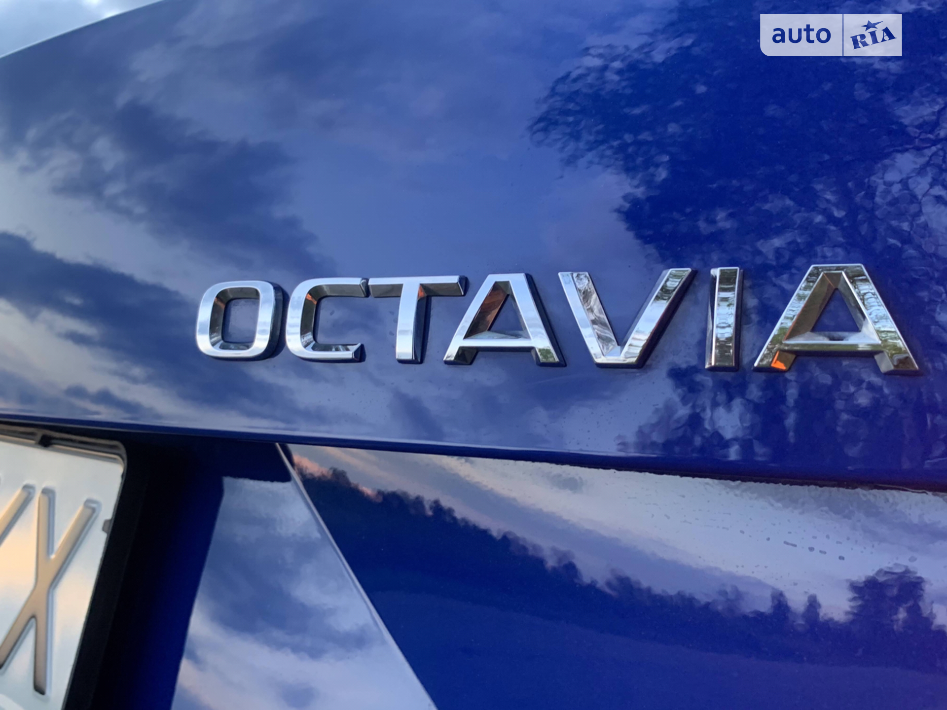 2019 Skoda Octavia - мініатюра 4